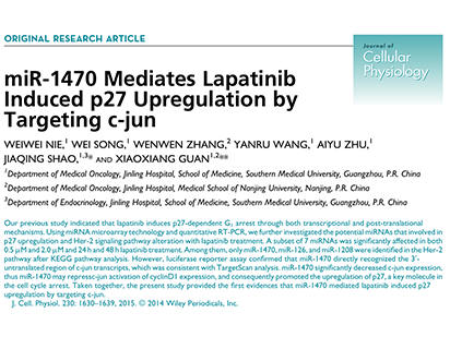 Nie W,et al.miR-1470 Mediates Lapatinib Induced p27 Upregulation by Targeting c-jun. J Cell Physiol.?2015 Jul;230(7):1630-9.?(IF=4.080)