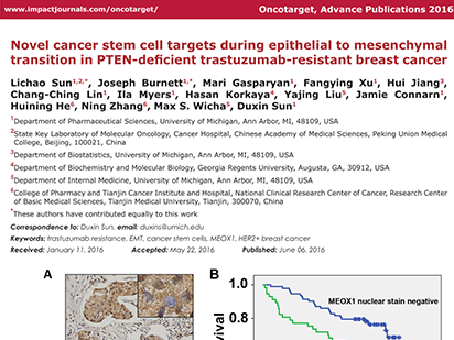 Sun L, et al. Novel cancer stem cell targets during epithelial to mesenchymal transition in PTEN-deficient trastuzumab-resistant breast cancer. Oncotarget.?2016 Aug 9;7(32):51408-51422. (IF=5.008)