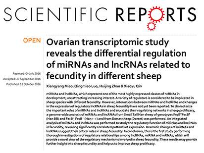 Miao, X. et al. Ovarian transcriptomic study reveals the differential regulation of miRNAs and lncRNAs related to fecundity in different sheep. Sci. Rep. 2016 Oct;6:35299 (IF=4.259)